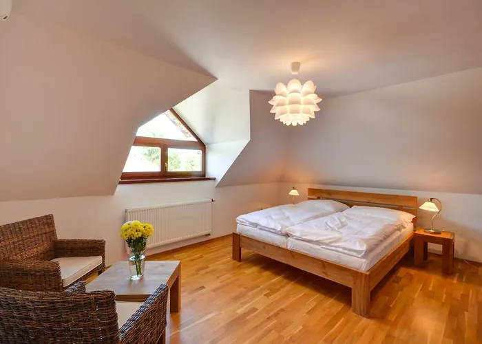 호텔 Amenity & Ceska Kanada Nová Bystřice